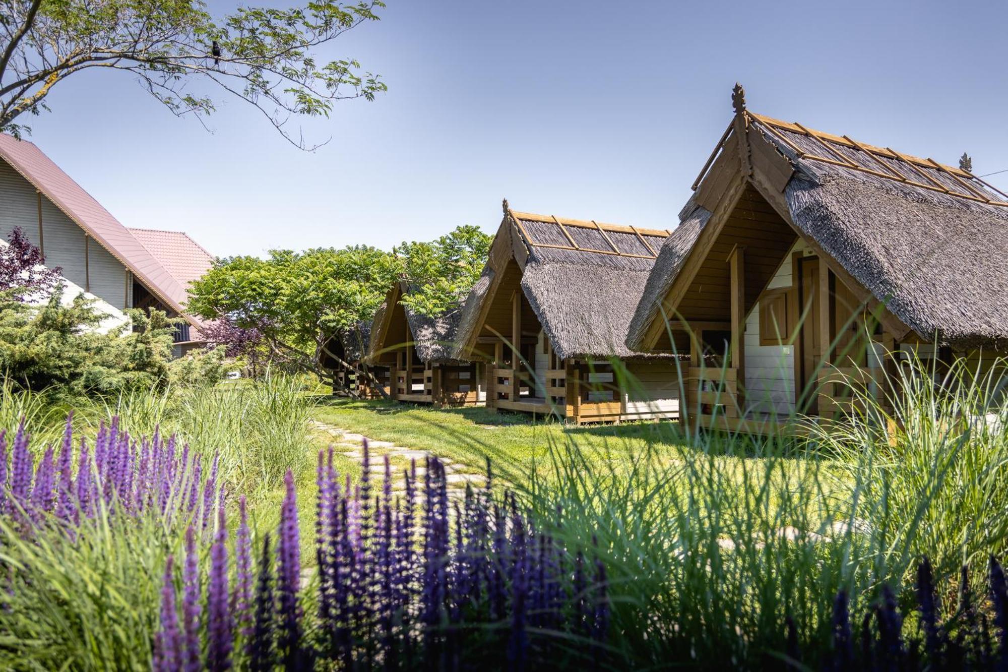 Village 4* Sfântu Gheorghe